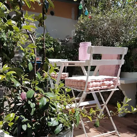 Little Garden Apartment Piran Exterior photo