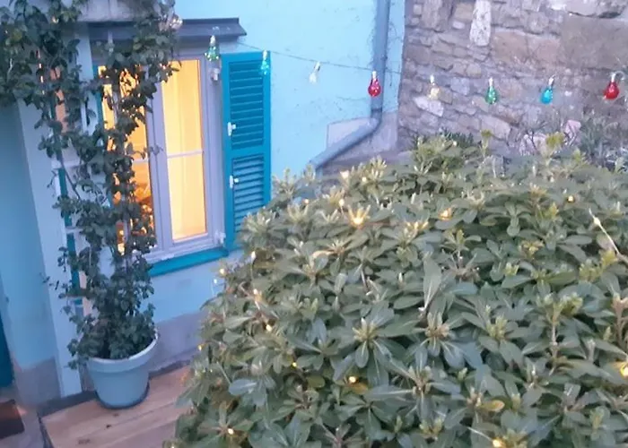 Little Garden