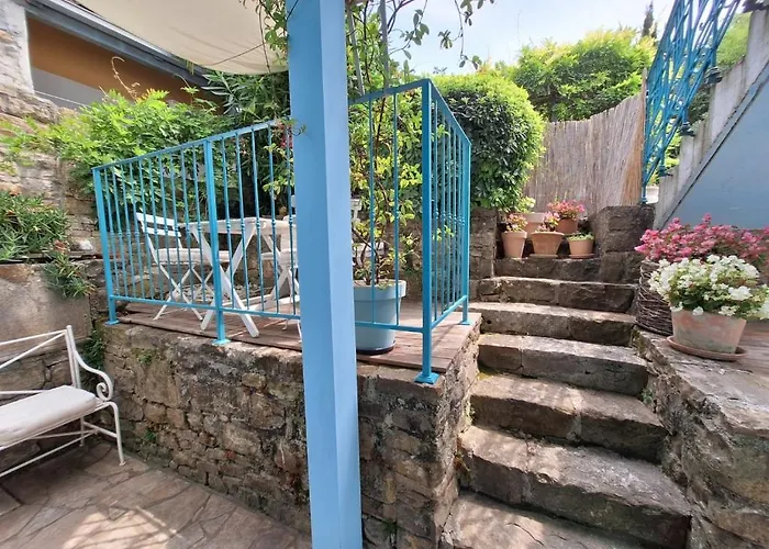 Little Garden