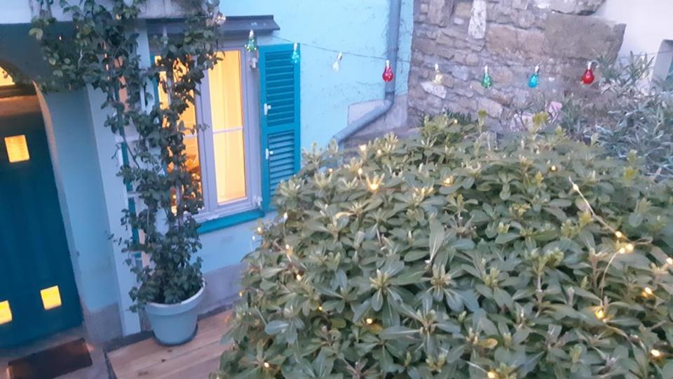 Apartment Little Garden *