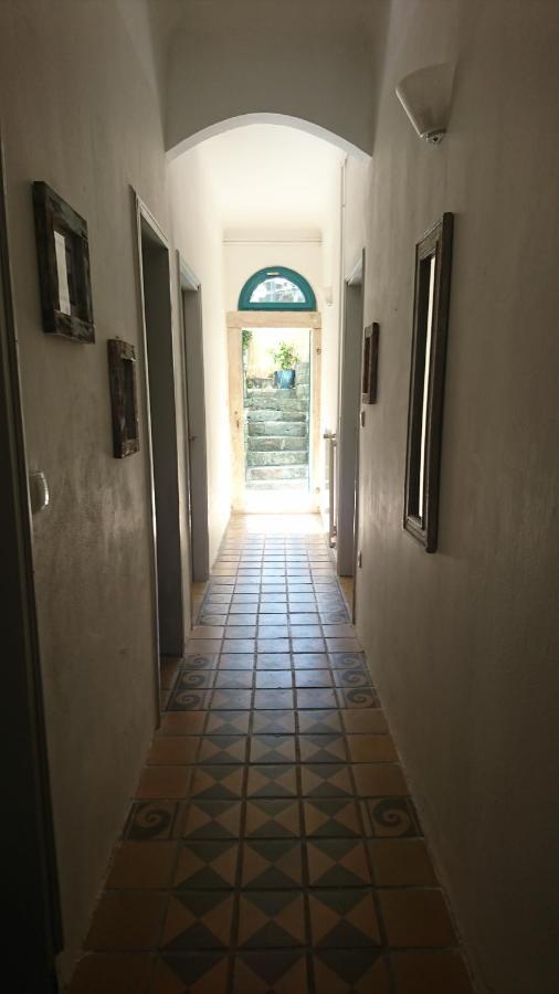 Apartment Little Garden Piran